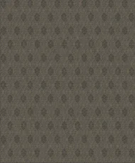 Premium in Charcoal with Gold