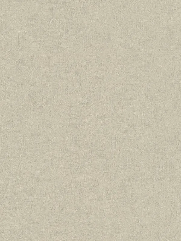 Steno Plaster Light Brown Wallpaper for Living Rooms or Bedrooms | Advantage - Shop Safe in Houston Wallpapering light brown textured wallpaper for office by Advantage