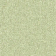 TEX3019