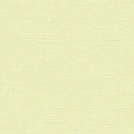 TEX3007