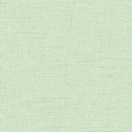 TEX3006