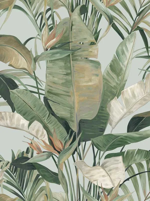 Tropical Spa Wallpaper for Living Rooms or Bedrooms | Candice Olson - Shop Safe in Houston Wallpapering spa botanical wallpaper for living room by Candice Olson