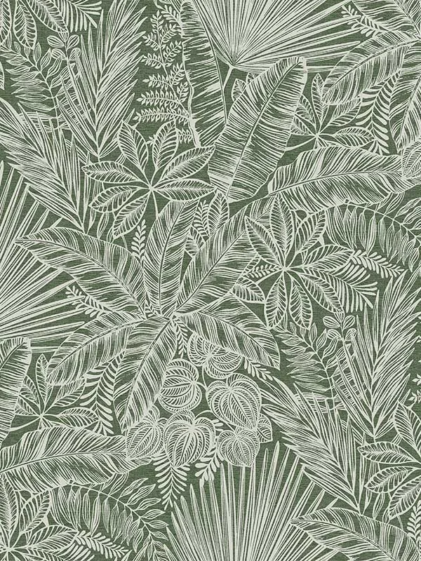 Vita Botanical Green Wallpaper for Living Rooms or Accent Walls | a Street Prints - Shop Safe in Houston Wallpapering green botanical wallpaper for bedroom by A Street Prints