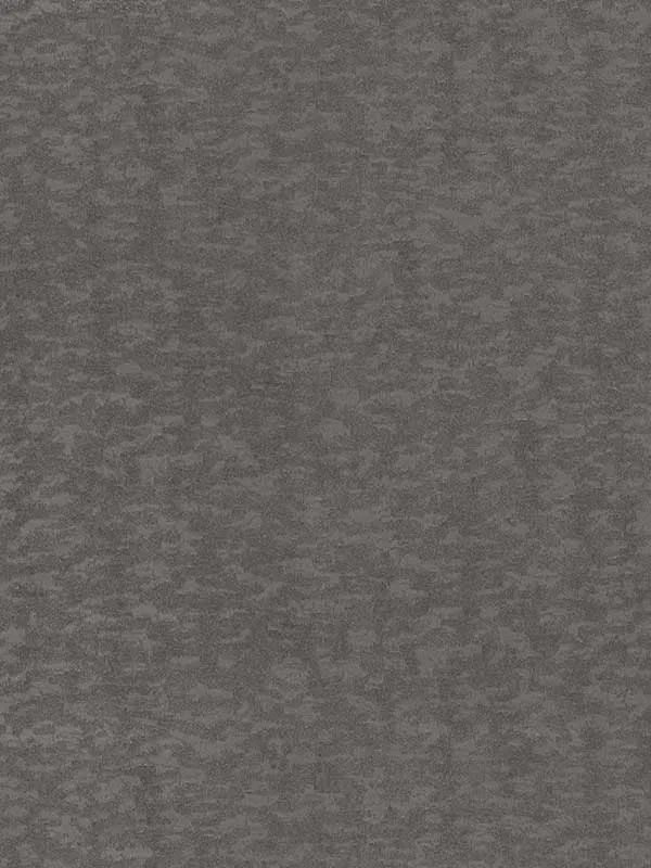 Weathered Cypress Silver Wallpaper for Modern Living Rooms or Offices | Antonina Vella - Shop Safe in Houston Wallpapering silver textured wallpaper for office by Antonina Vella