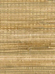 Color Variation
