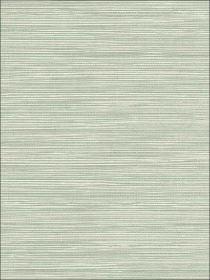 seafoam textured wallpaper for office by Kenneth James