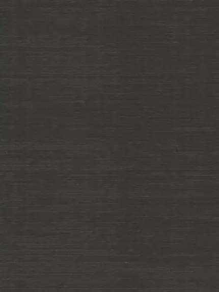 black textured wallpaper for office by Ronald Redding