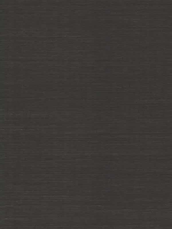 black textured wallpaper for office by Ronald Redding