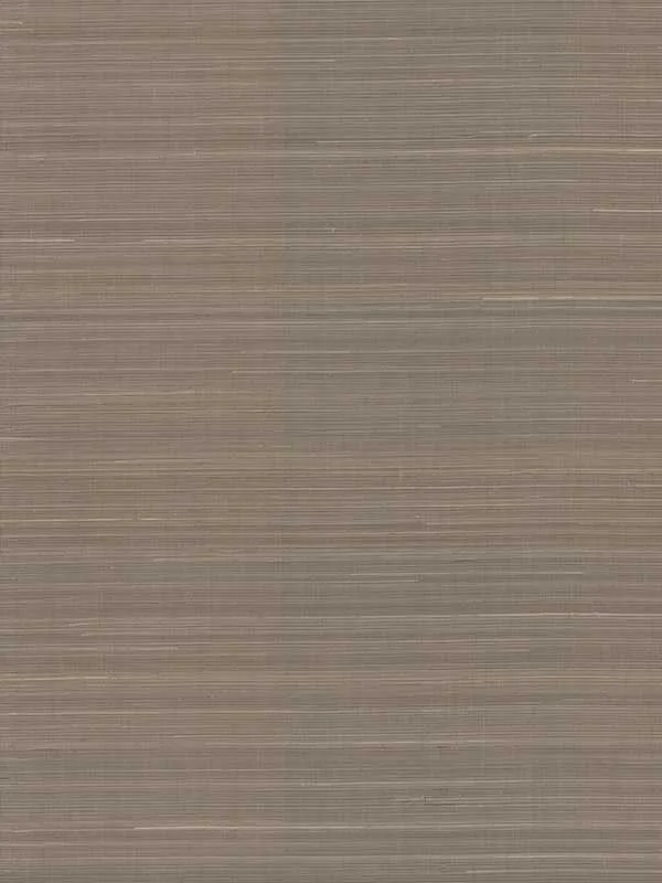 brown textured wallpaper for office by York