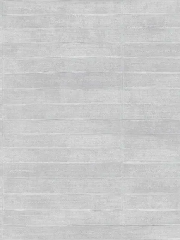 Dermot Horizontal Stripe Silver Wallpaper for Living Rooms or Study Areas | Advantage - Shop Safe in Houston Wallpapering silver striped wallpaper for office by Advantage