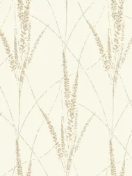 Color Variation