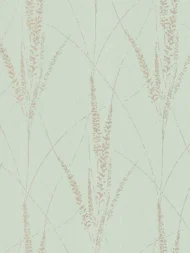 Color Variation