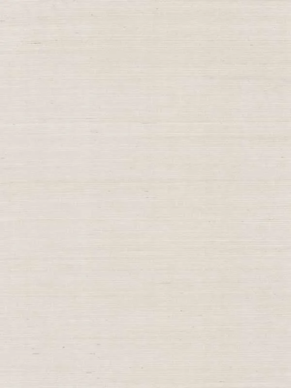 latte textured wallpaper for office by Ronald Redding