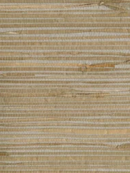 Color Variation