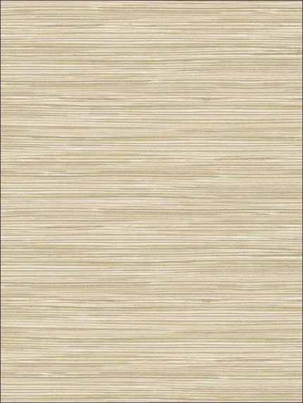 beige textured wallpaper for office by Kenneth James