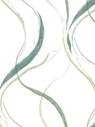 Color Variation