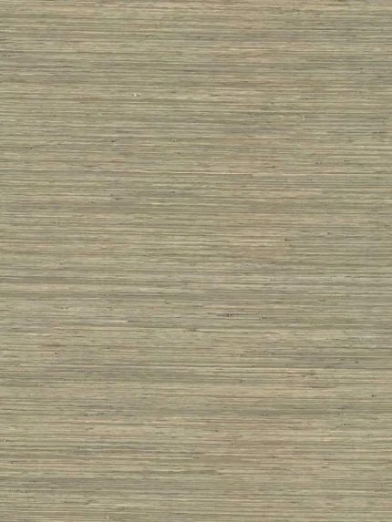 moss textured wallpaper for office by A Street Prints