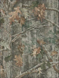 Color Variation