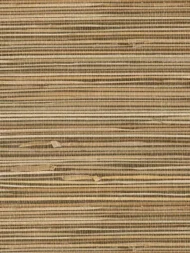 Color Variation