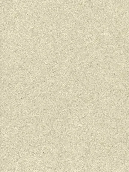 oyster textured wallpaper for office by Ronald Redding