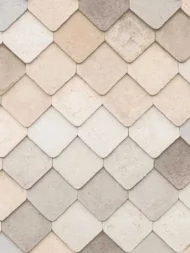 Color Variation