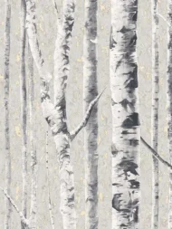 Color Variation