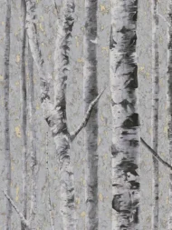 Color Variation