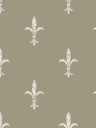 Color Variation