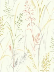 Color Variation