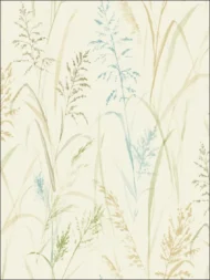 Color Variation