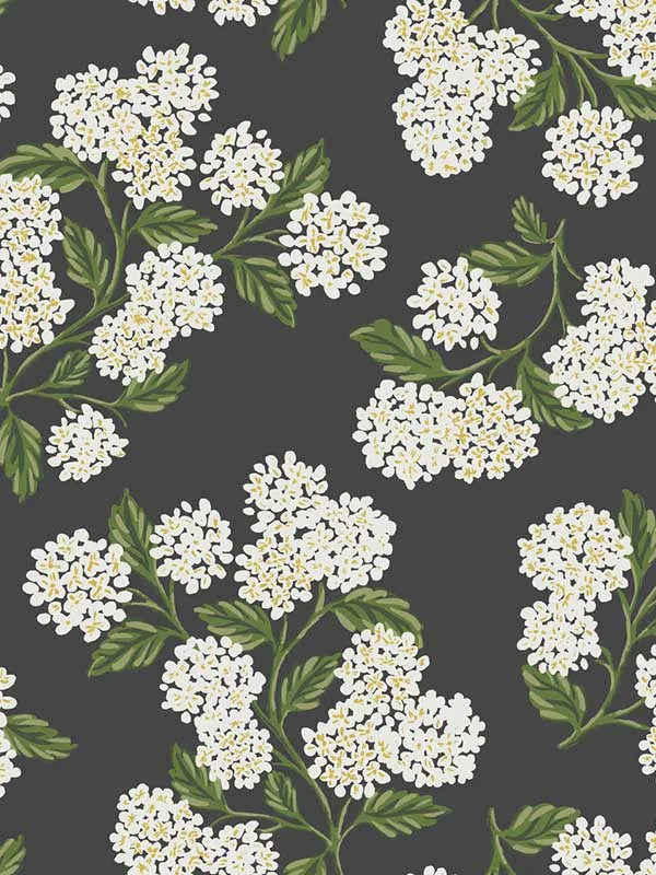 Hydrangea Black and White Wallpaper for Modern Living Rooms or Media Rooms | Rifle Paper Co - Shop Safe in Houston Wallpapering black and white patterned wallpaper for bedroom by Rifle Paper Co