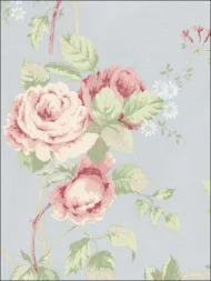 Color Variation