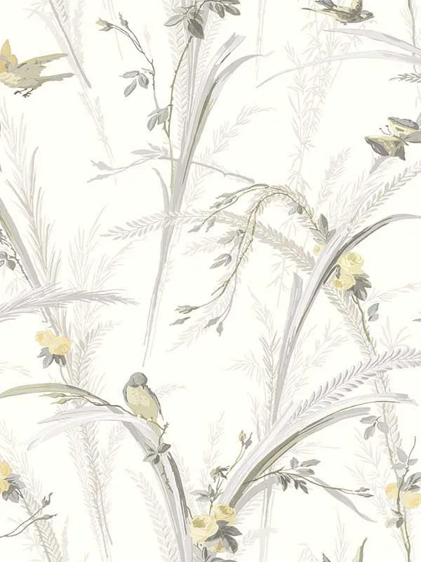 Meadowlark Botanical Yellow Wallpaper for Living Rooms or Accent Walls | Chesapeake - Shop Safe in Houston Wallpapering yellow botanical wallpaper for bedroom by Chesapeake