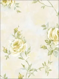 Color Variation