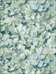 Color Variation