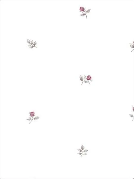 Rose Buds Pink Grey Wallpaper for Contemporary Living Rooms or Entryways | Patton Norwall - Shop Safe in Houston Wallpapering pink grey patterned wallpaper for bedroom by Patton Norwall