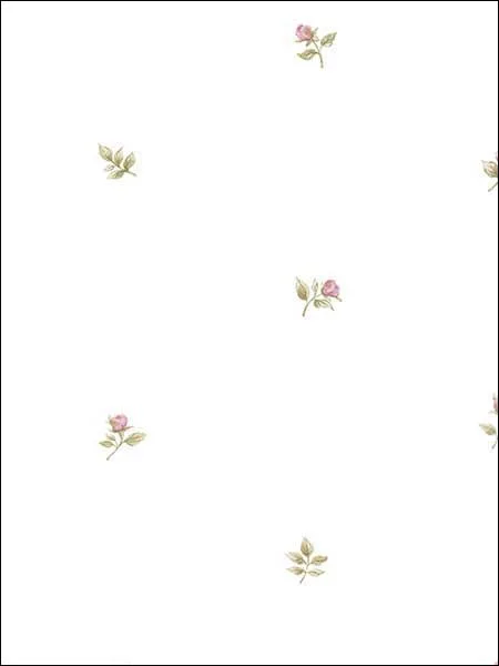 Rose Buds Pink Ochre Green Wallpaper for Contemporary Living Rooms or Entryways | Patton Norwall - Shop Safe in Houston Wallpapering pink ochre green patterned wallpaper for bedroom by Patton Norwall