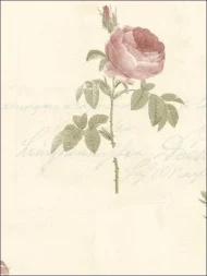Color Variation