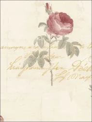 Color Variation
