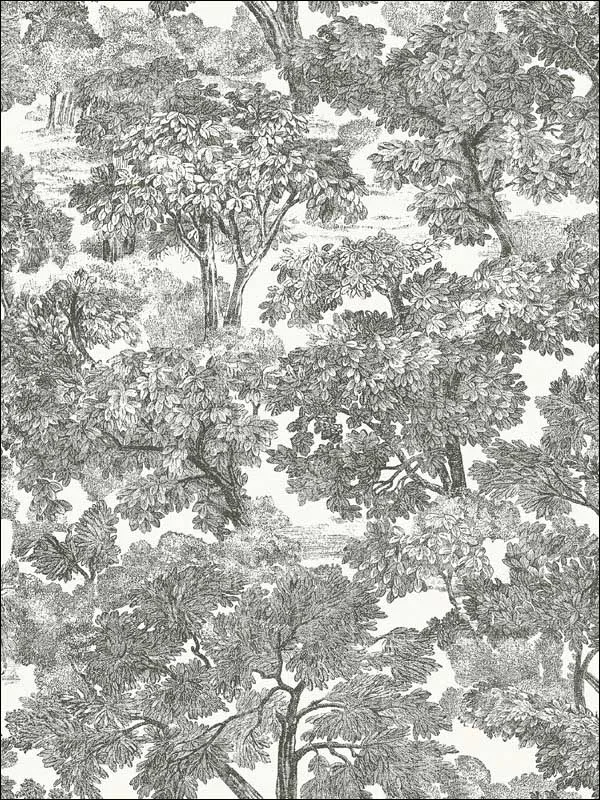 black toile wallpaper for dining room by Chesapeake