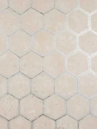 Color Variation
