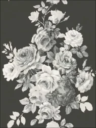 Color Variation