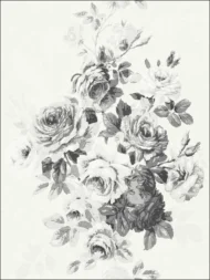 Color Variation