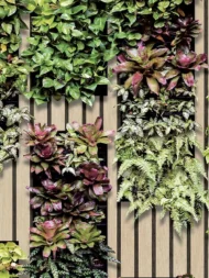 Color Variation