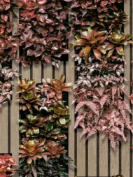 Color Variation