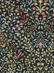 Color Variation