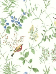 Color Variation