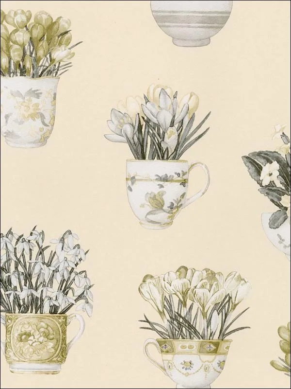 Printemps Tea Cups Browns Neutrals Wallpaper for Clean Accent Walls in Open Areas | Patton Norwall - Shop Safe in Houston Wallpapering browns neutrals patterned wallpaper for bedroom by Patton Norwall