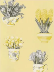 Color Variation