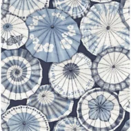 Color Variation